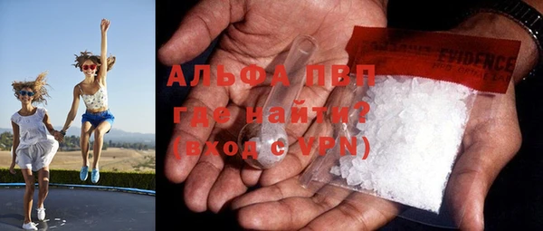 сатива Волосово