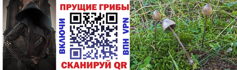 Псилоцибиновые грибы MAGIC MUSHROOMS  цена   Заозёрный 